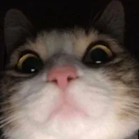 Sagopa Kajmer Midone Sinane