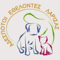 adespotoi_stray_rescue