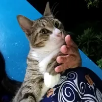 original sound - angelikfonse