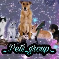 ._pets_group._