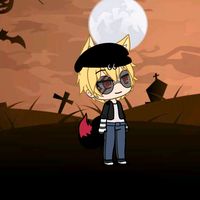 lobinho_gato89