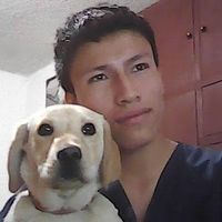 johan.alveiro.ang