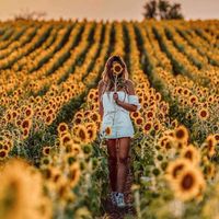 hande_yazici