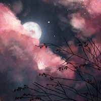 moonlightcloudsxx