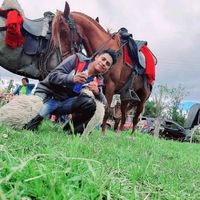 brayanmishque
