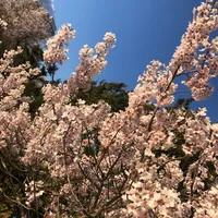 original sound - lalala1323