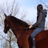 myhorseandme1