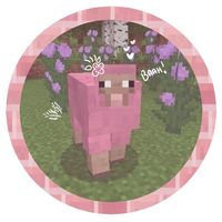 minecraft.modss