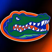 original sound - flg8ors15