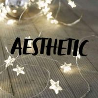 aesthetic.besties30067