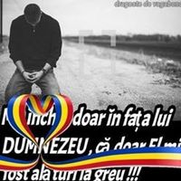 sunet original