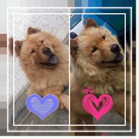 melzinha_e.richard654322