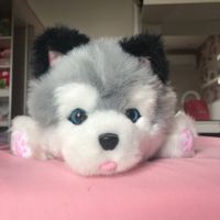 the_plush_cristal_