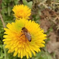 hidayetkibrizgmail.com