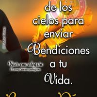 davidfernandez6846