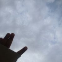 banedr
