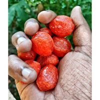 naatha_foodie
