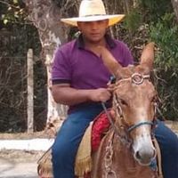caiofelipefernandes