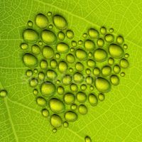 dew_shew
