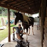 fernandoferrador2333