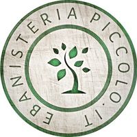 ebanisteriapiccolo.it