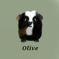 rosebudlovesanimals