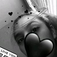 roysnoodles
