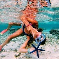 x_summer_ideas_x