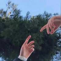ash_45o