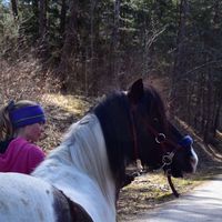 horseee_worlddd