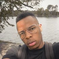 Mosquitoes in your language