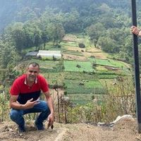 estuardodcmgnm
