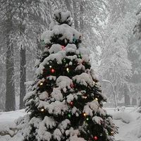 _christmas_countdown_025