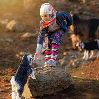 الصوت الأصلي