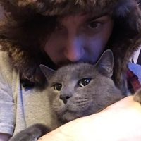 jolly_green_joey