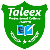 original sound - Taleex Professional College