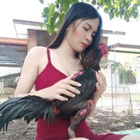 cherrywanida4