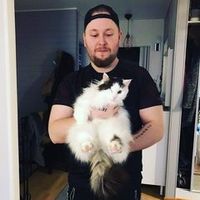 alkuperäinen ääni
