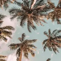 original sound - grwm.starrs