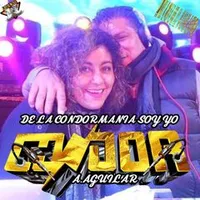 original sound - sonidocondor