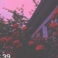 aestheticvibes_05
