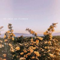 sun_flow.err