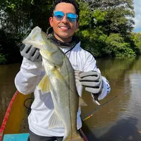 original sound - lineaycarrete