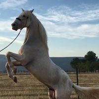 victorsanz01