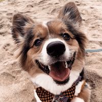 Disrespect your surroundings.