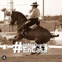 fran_arcos_oficial
