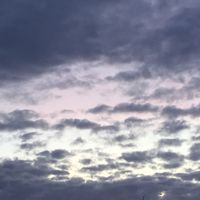 horoskoop.it