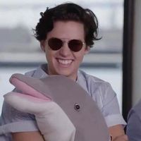 your.new.favorite.finds