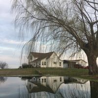 willowsendhomestead