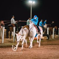 bernardorodriguesaltoe